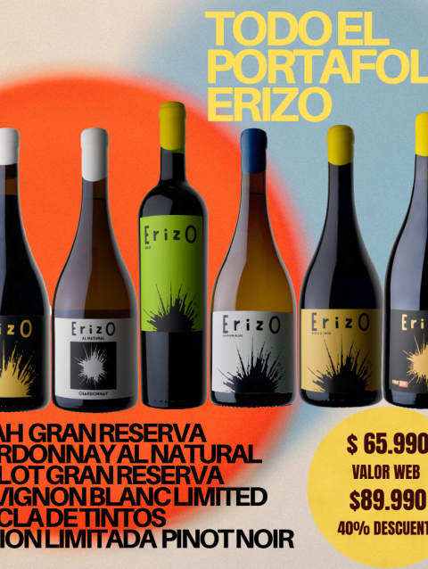 vino erizo chile portafolio completo syrah chardonnay merlot pinot noir sauvignon blanc mezcla de tintos