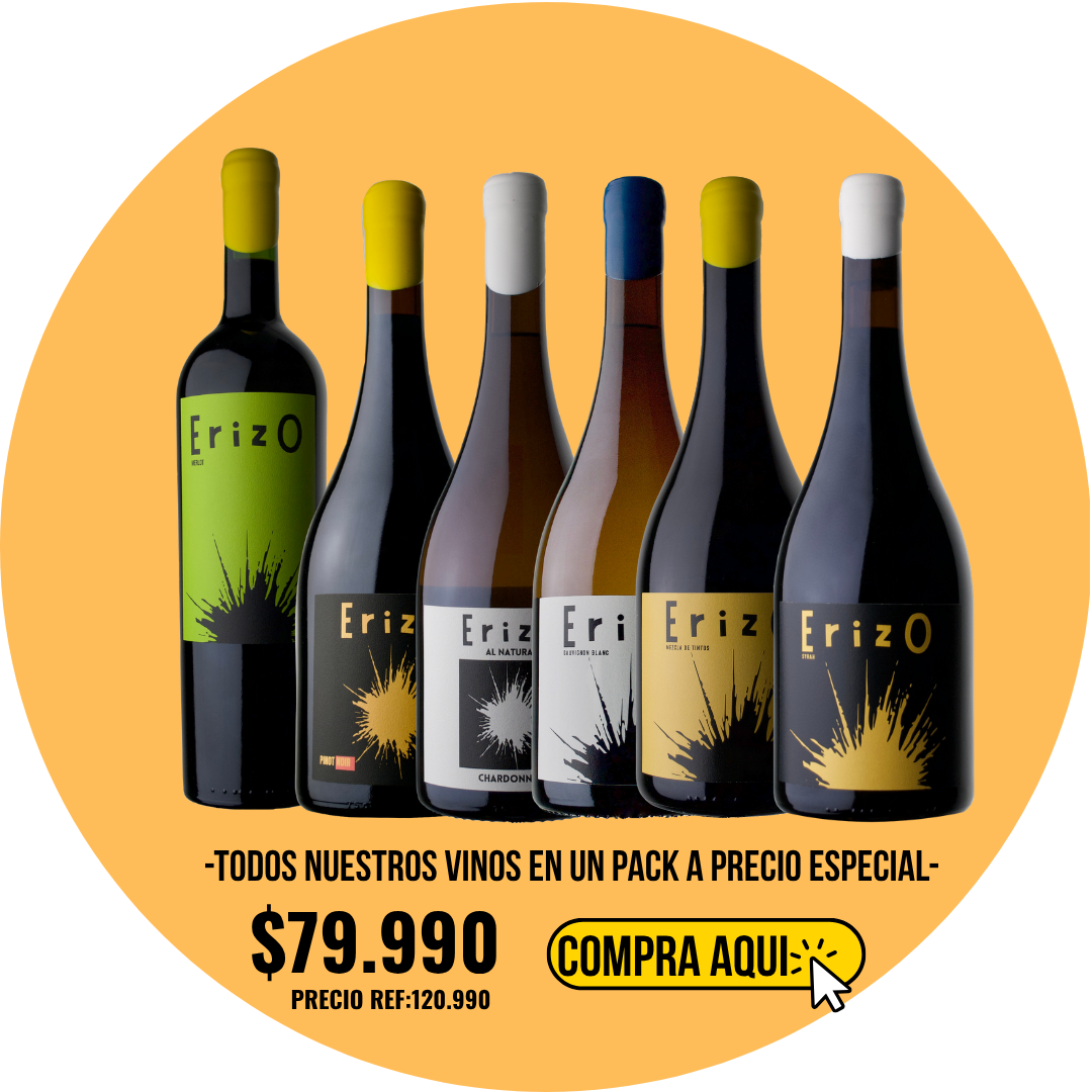 Pack Vino Erizo – Todos Nuestros Vinos | Precio Especial $79.990