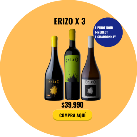 Pack Vino Erizo con Pinot Noir, Merlot y Chardonnay