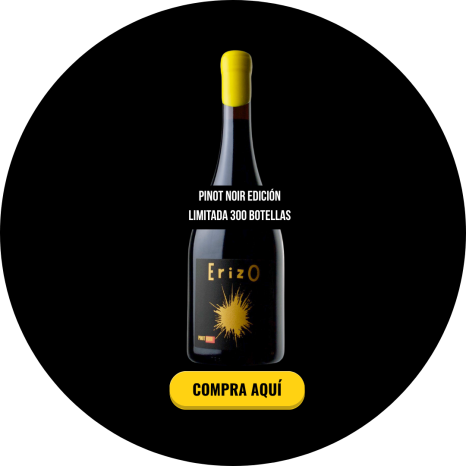 Vino Erizo Pinot Noir Edición Limitada 2023